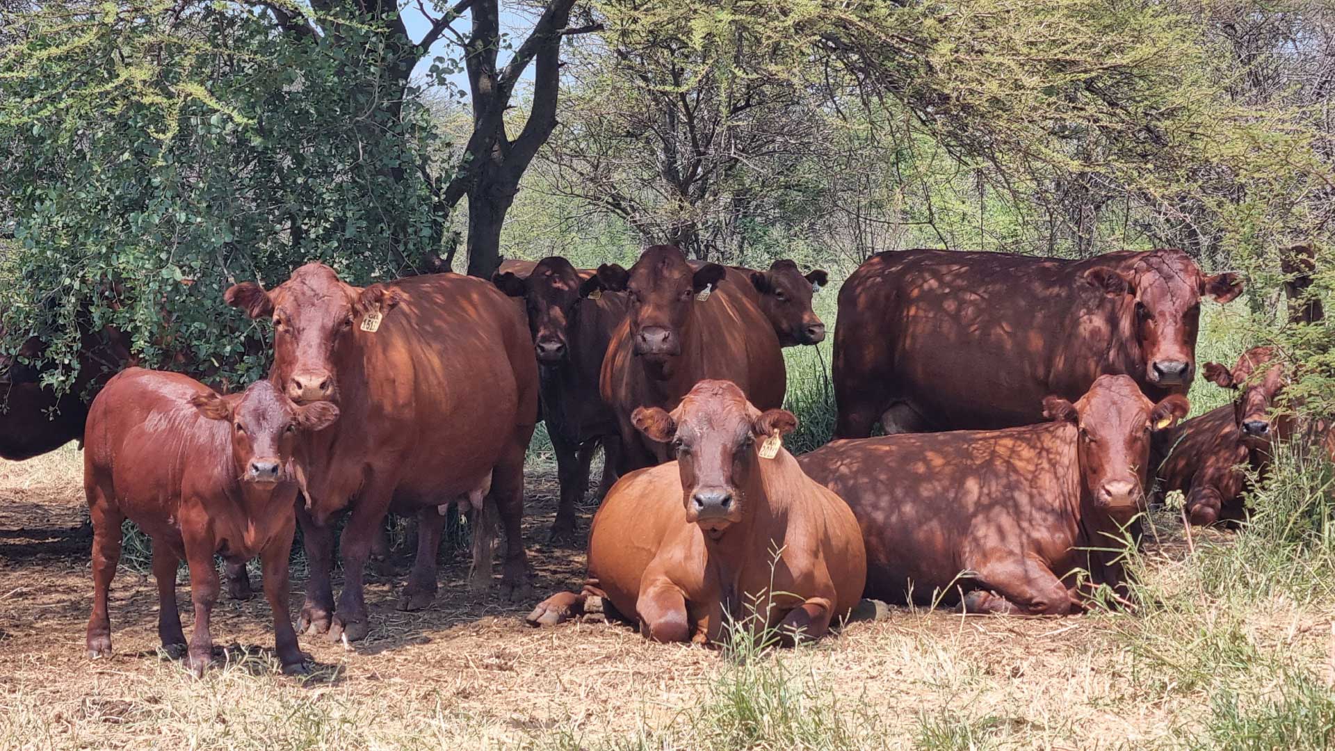 gallery-img-home-2 gallery-img-home-2