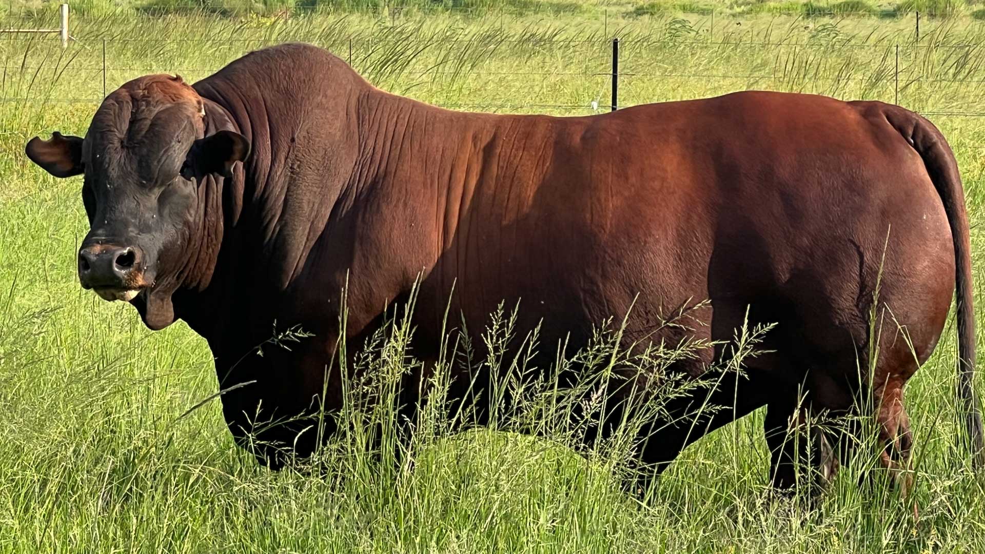 gallery-img-home-4 gallery-img-home-4