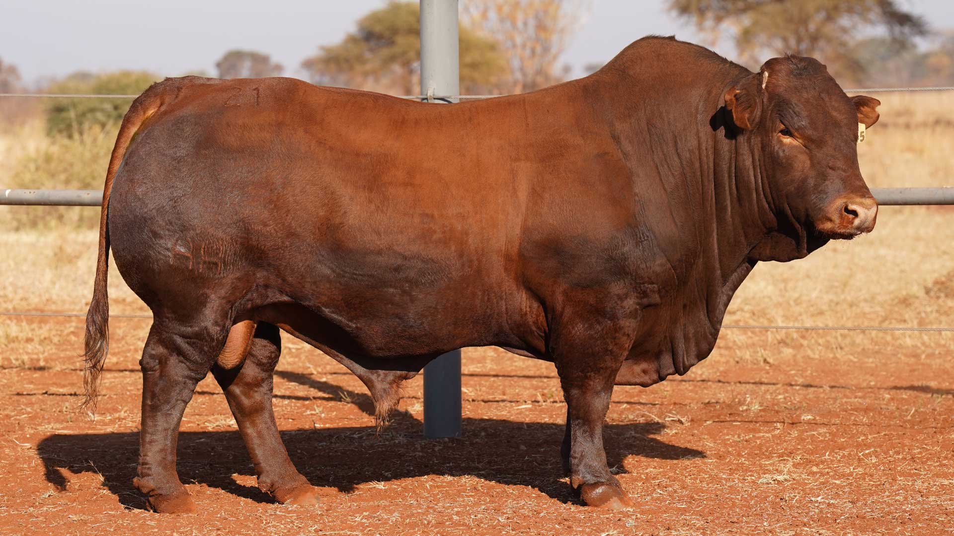 gallery-img-home-5 gallery-img-home-5